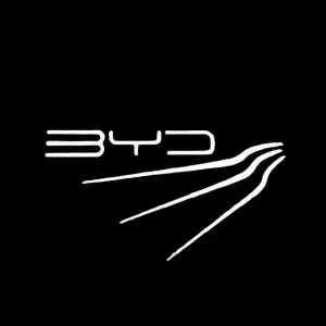 BYD Puddle Lights